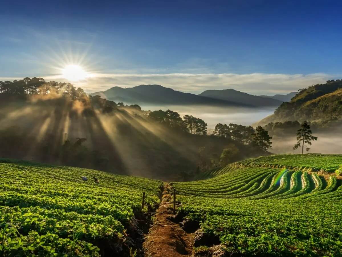 Coorg Coffee Trails, Karnataka