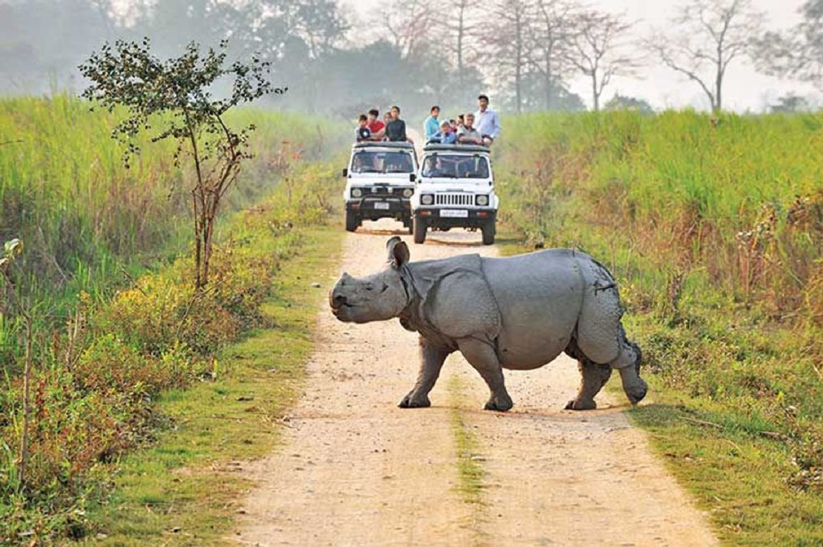 Suggested 3–5 Day Itinerary for Kaziranga in December