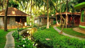 Ayurveda Retreats in Kerala for a Monsoon Detox (July Edition)