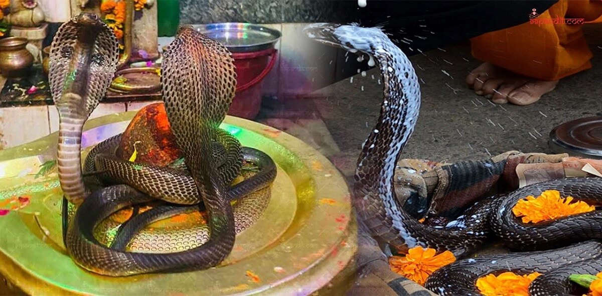 Nag Panchami, Maharashtra and Karnataka 