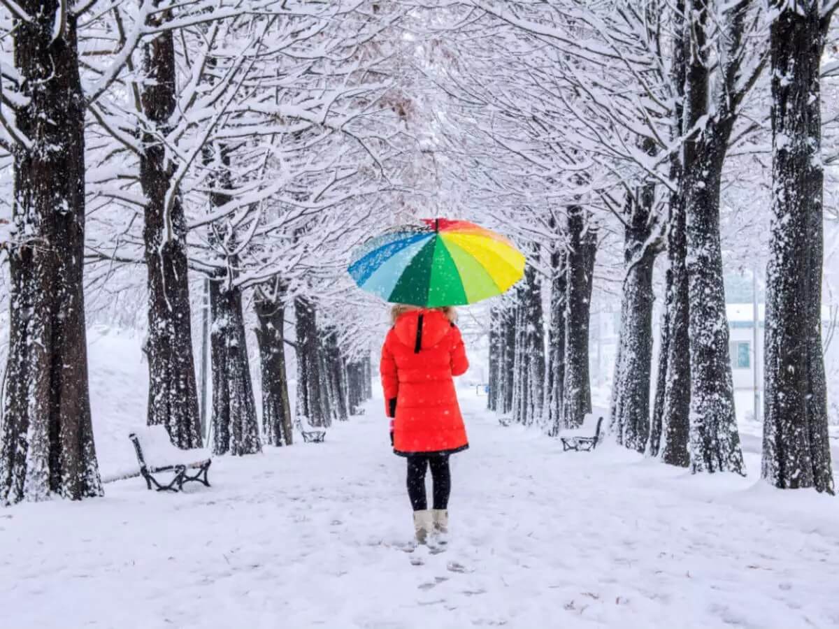 Hill Stations to Visit in India for December Snowfall