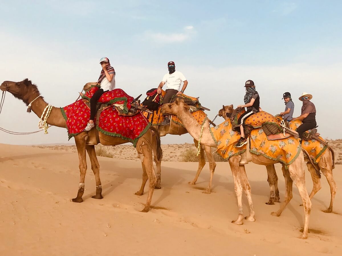 Camel Safari: Explore the Desert Charm