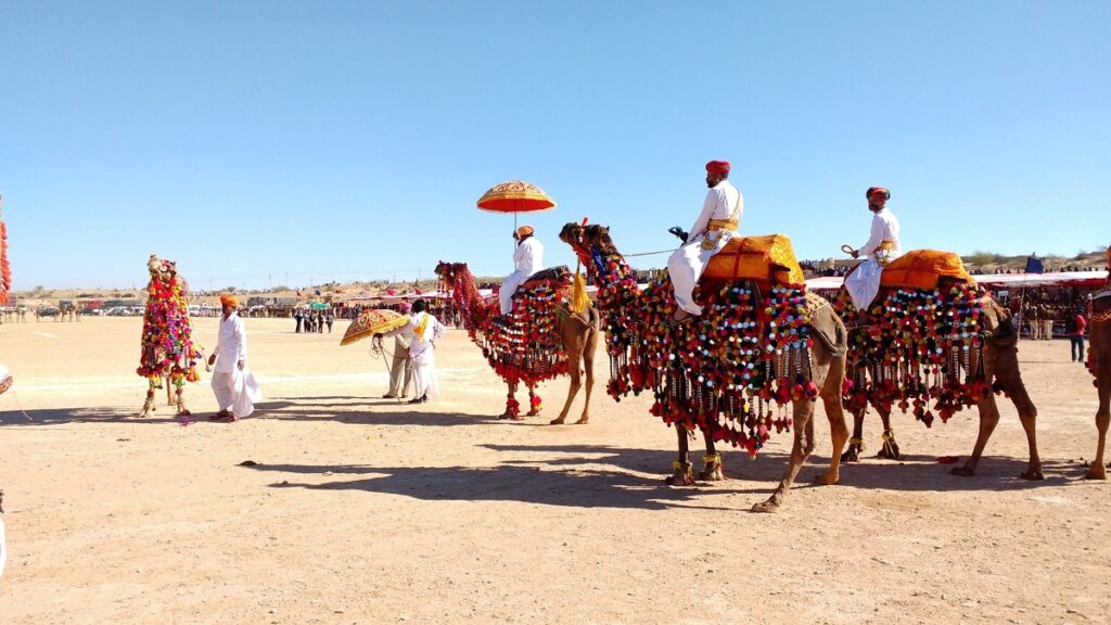 Pushkar Rajasthan: Camel Safari