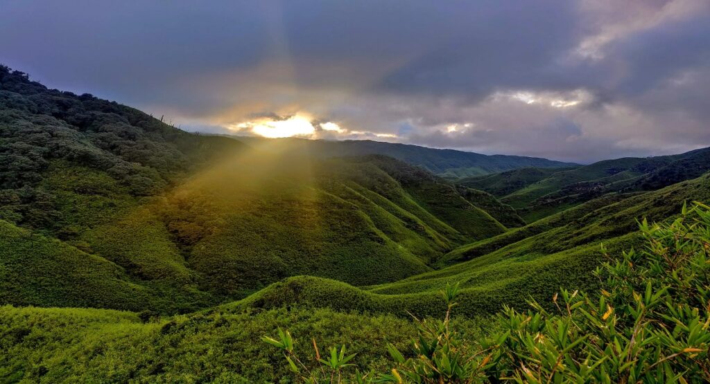 Dzukou Valley Nagaland