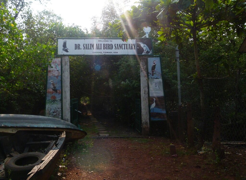 Salim Ali Bird Sanctuary in Goa
