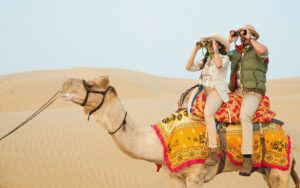 Camel safari in India