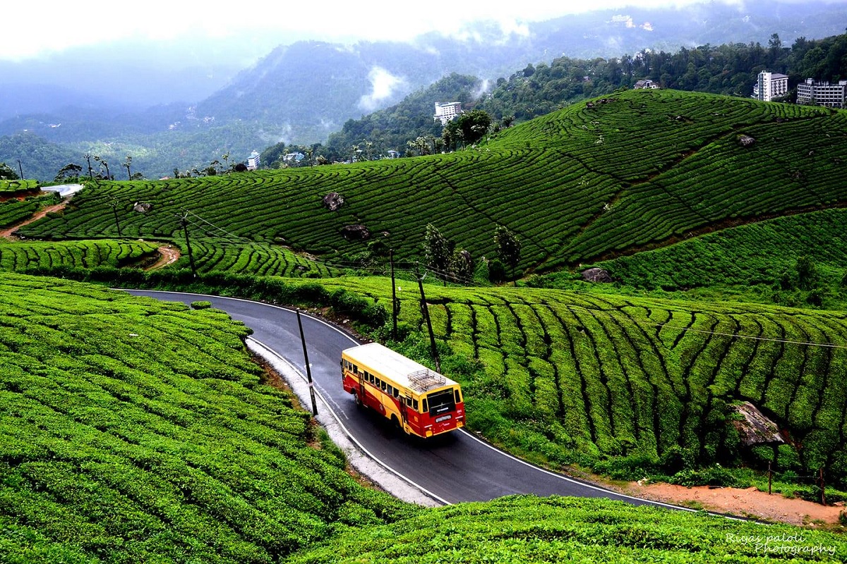 Munnar: The Enchanting Tea Gardens