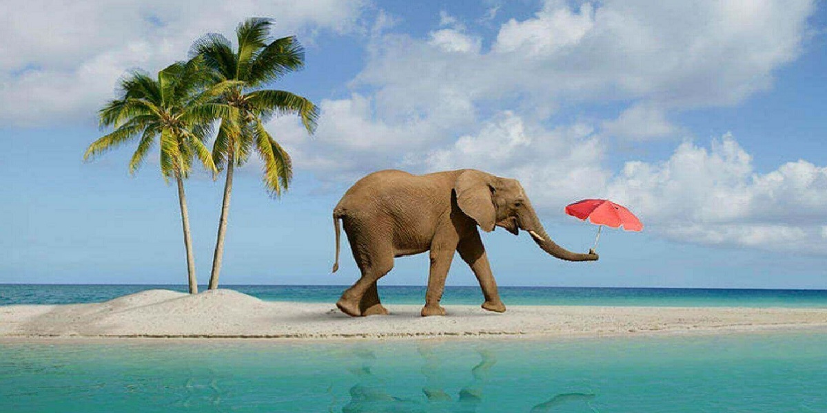 Elephant Beach (Havelock Island)