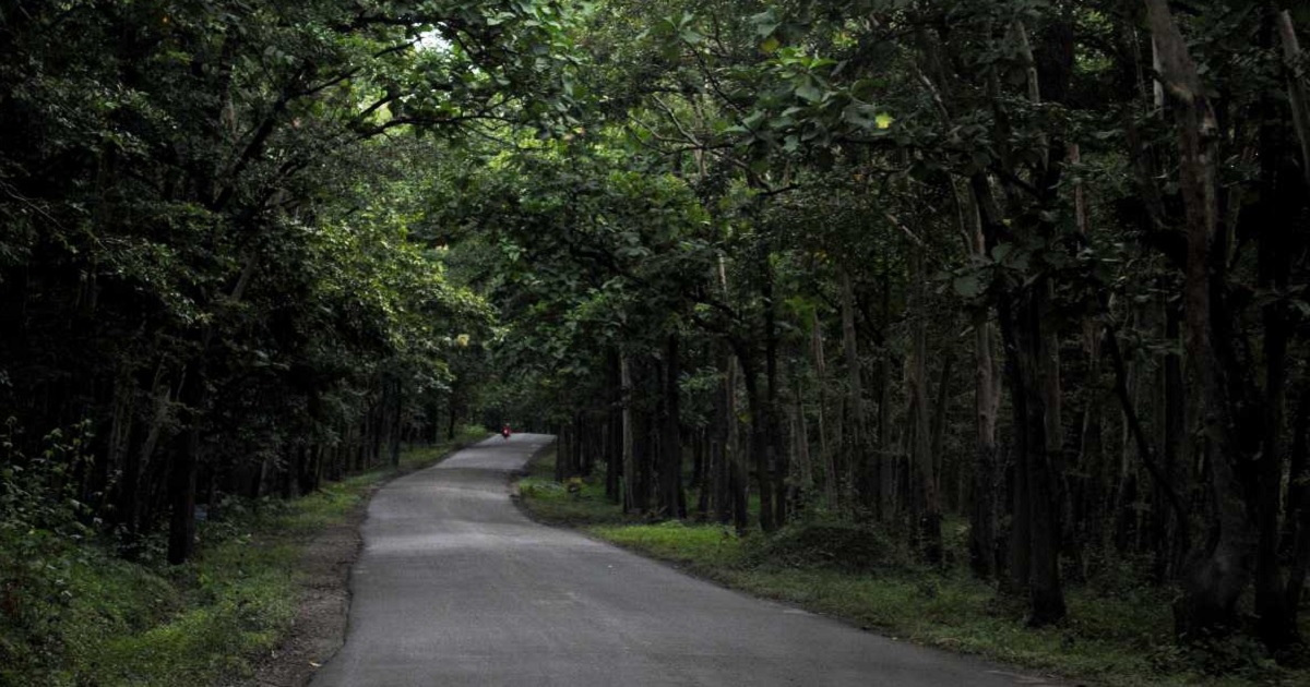 Anshi National Park, Karnataka