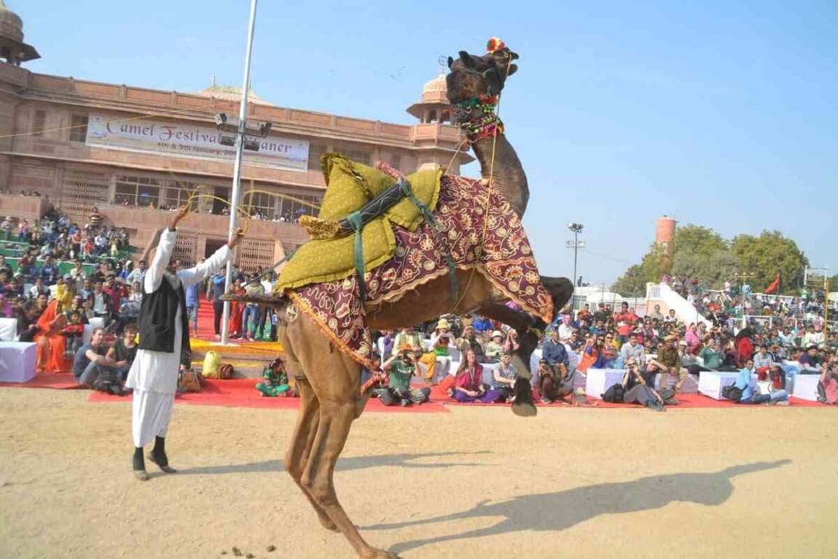 Festivals and Fairs in Rural Rajasthan Worth Traveling For