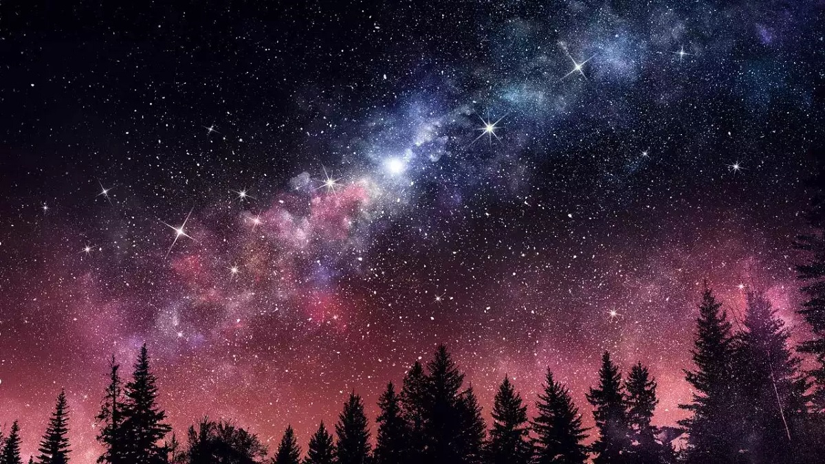 Stargazing at Night in Binsar in January