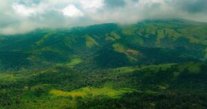 Coorg in December 2025 – Weather, Best Places to Visit, Things to Do & Travel Guide