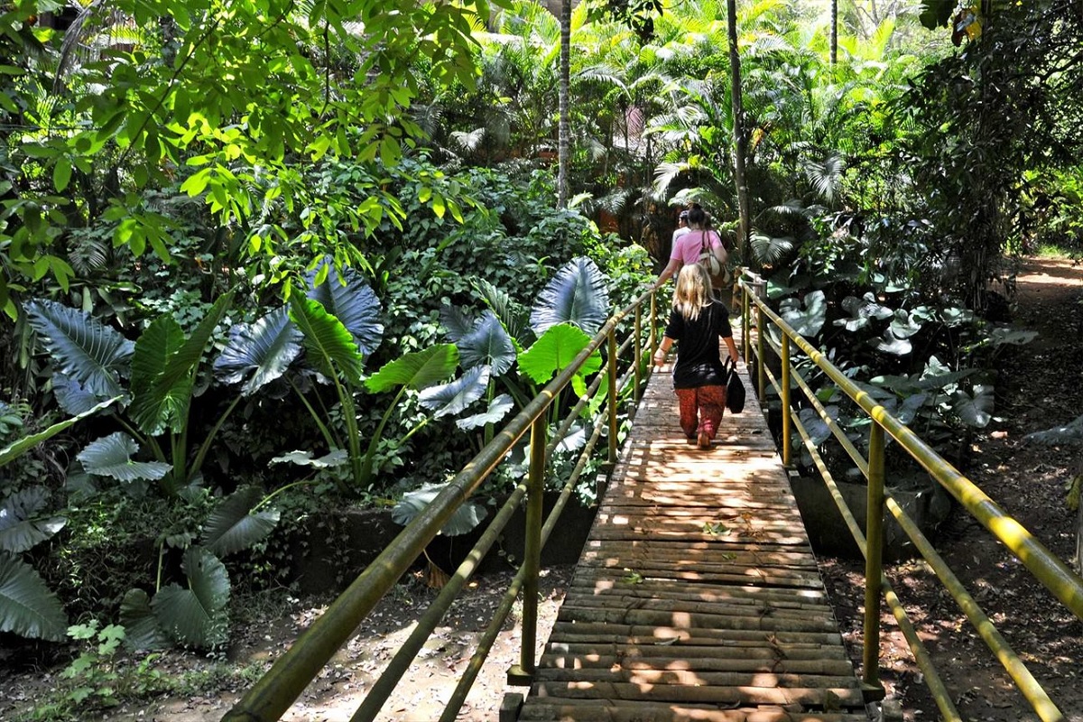 Visit Goa’s Spice Plantations