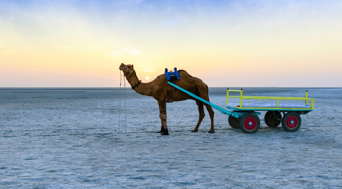 How to Reach Rann of Kutch by Flight