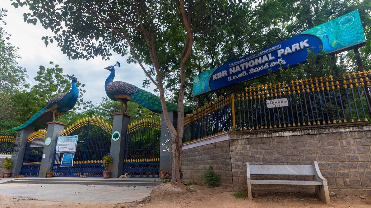 KBR National Park –Hyderabad