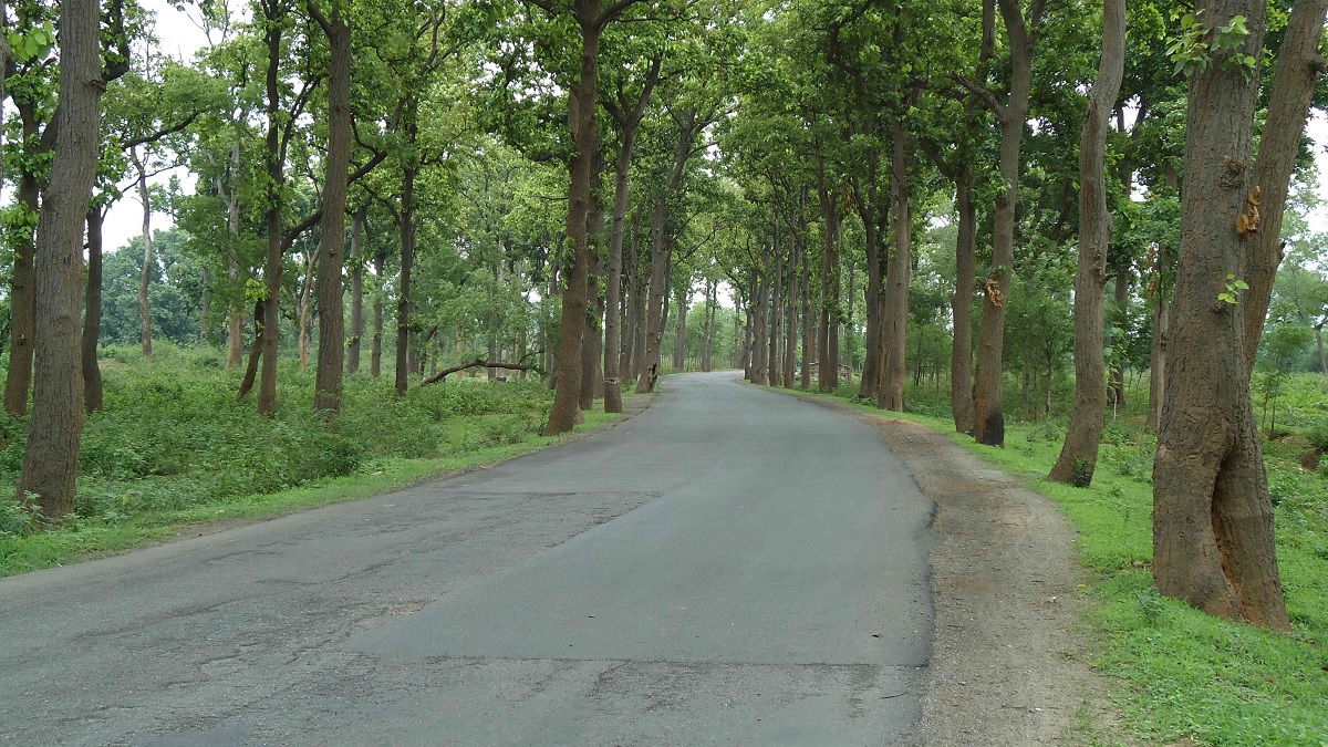 The Name ‘Jharkhand’ Means the ‘Land of Forests’