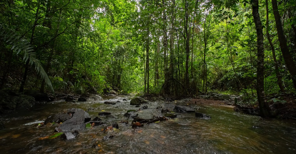 Why Kudremukh National Park Feels Like Nature’s Masterpiece