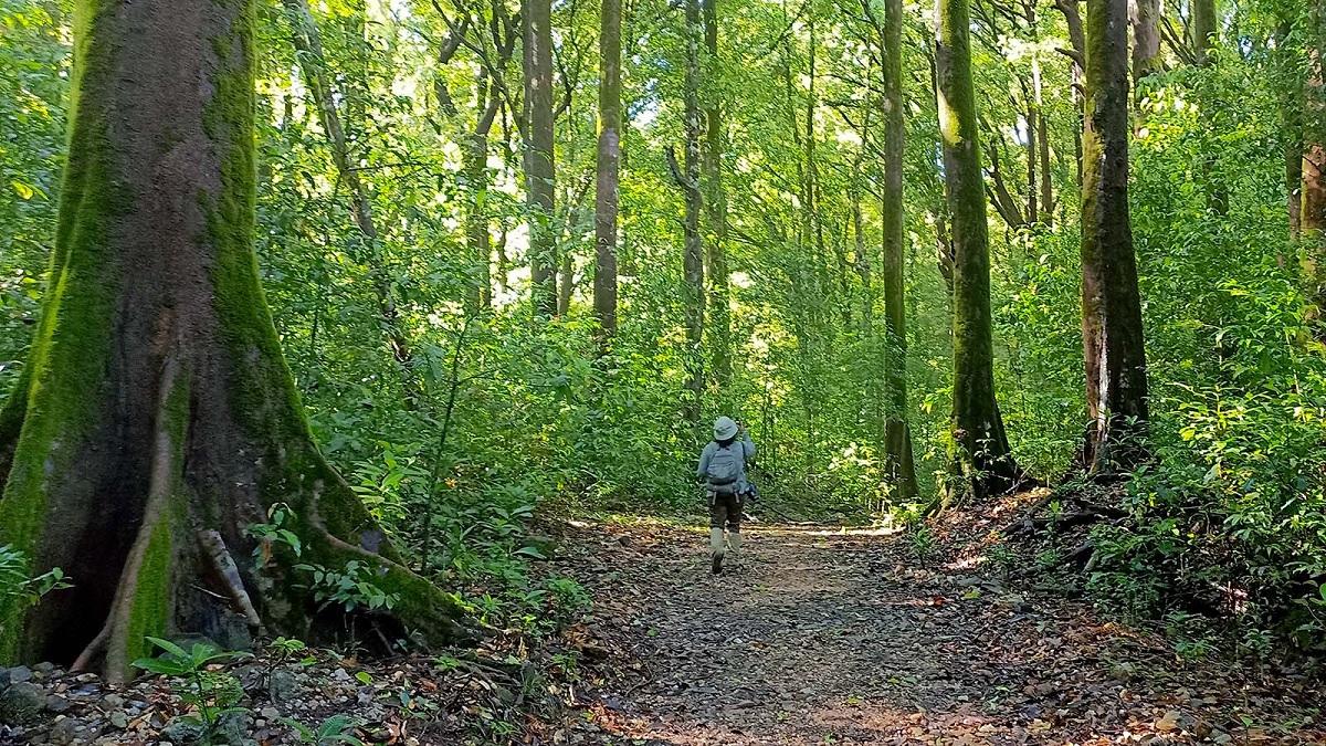 he Thrill of the Kudremukh Peak Trek: For Adventure Seekers and Nature Lovers