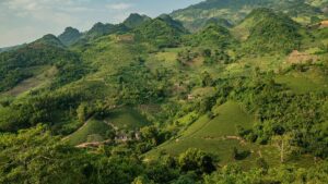 What Makes Kudremukh National Park So Famous? Your Ultimate Guide to Karnataka’s Green Wonderland