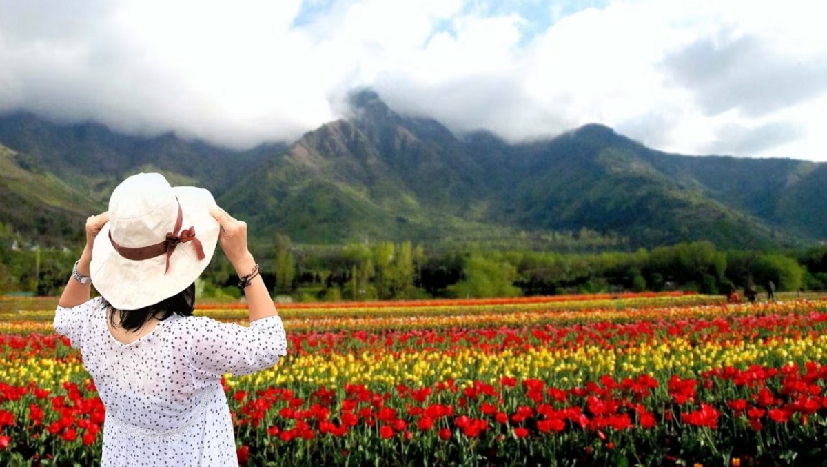 How to Reach the Tulip Garden