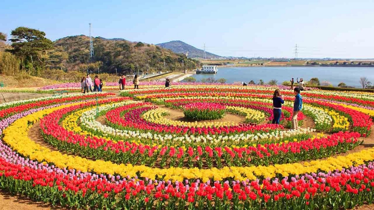 The Perfect Blend of Nature and Serenity in Tulip Garden in Kashmir