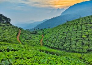 Best Places to Visit in Kerala in October