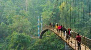 Meghalaya Weather in January: Temperature & Travel Guide Travel Tips for North East India