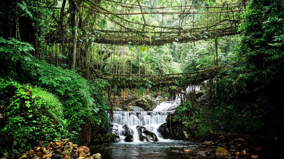 Cherrapunji Living Root Bridge Trek, Meghalaya
