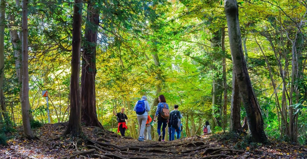 Packing Tips for Trekking and Nature Walks