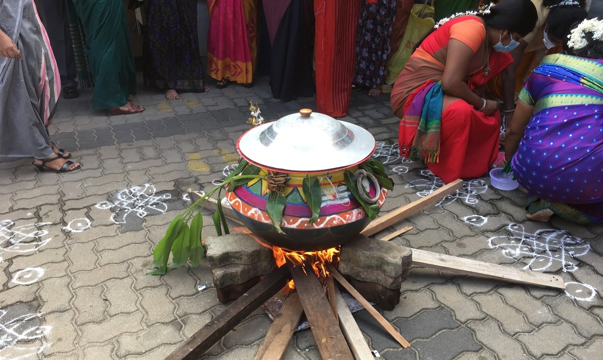 Sustainable Pongal Festival Practices
