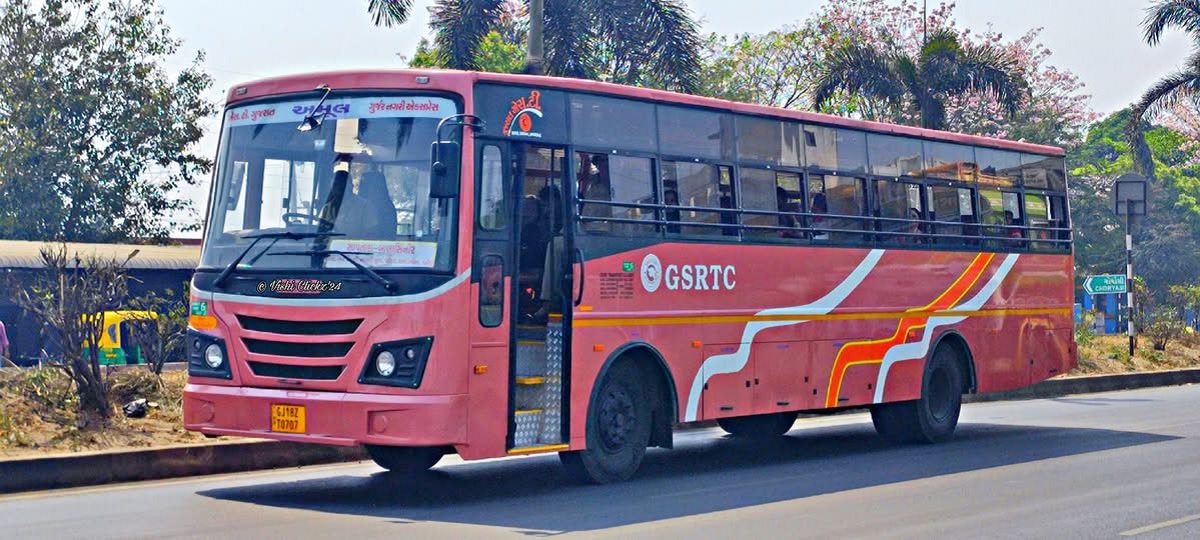 By Bus (Affordable Option)