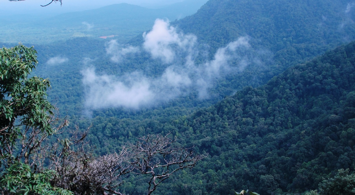 Agumbe Rainforest, Karnataka