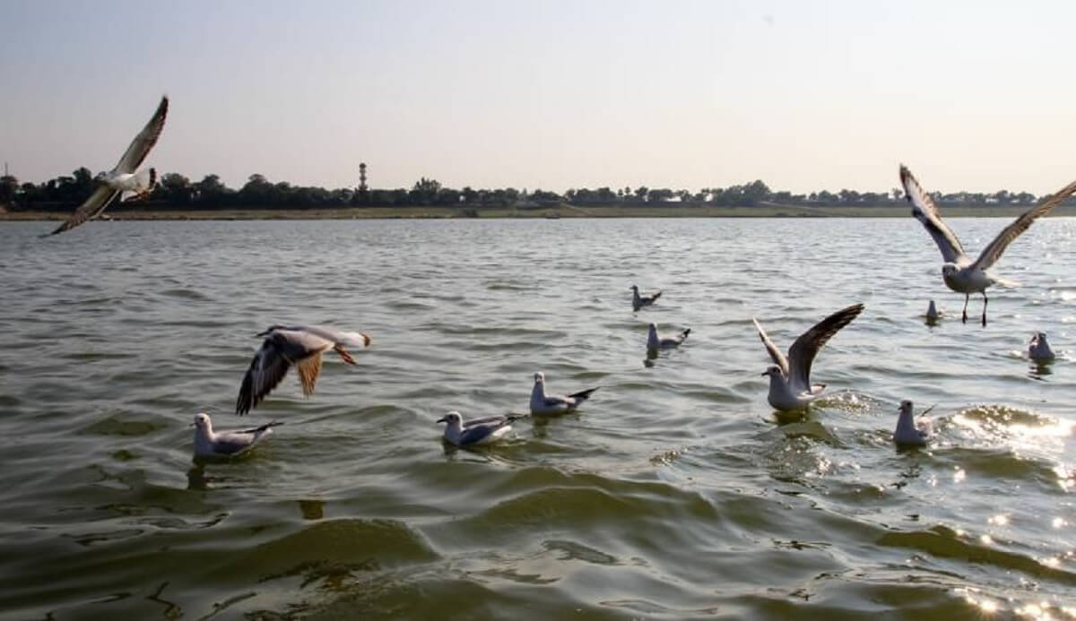 Why Visit Uttar Pradesh in December?