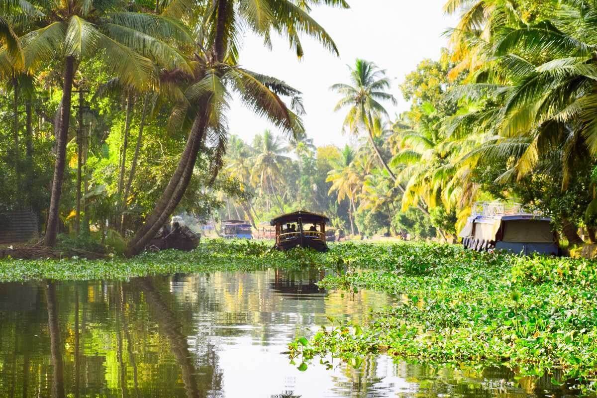 Alleppey: Backwater Bliss