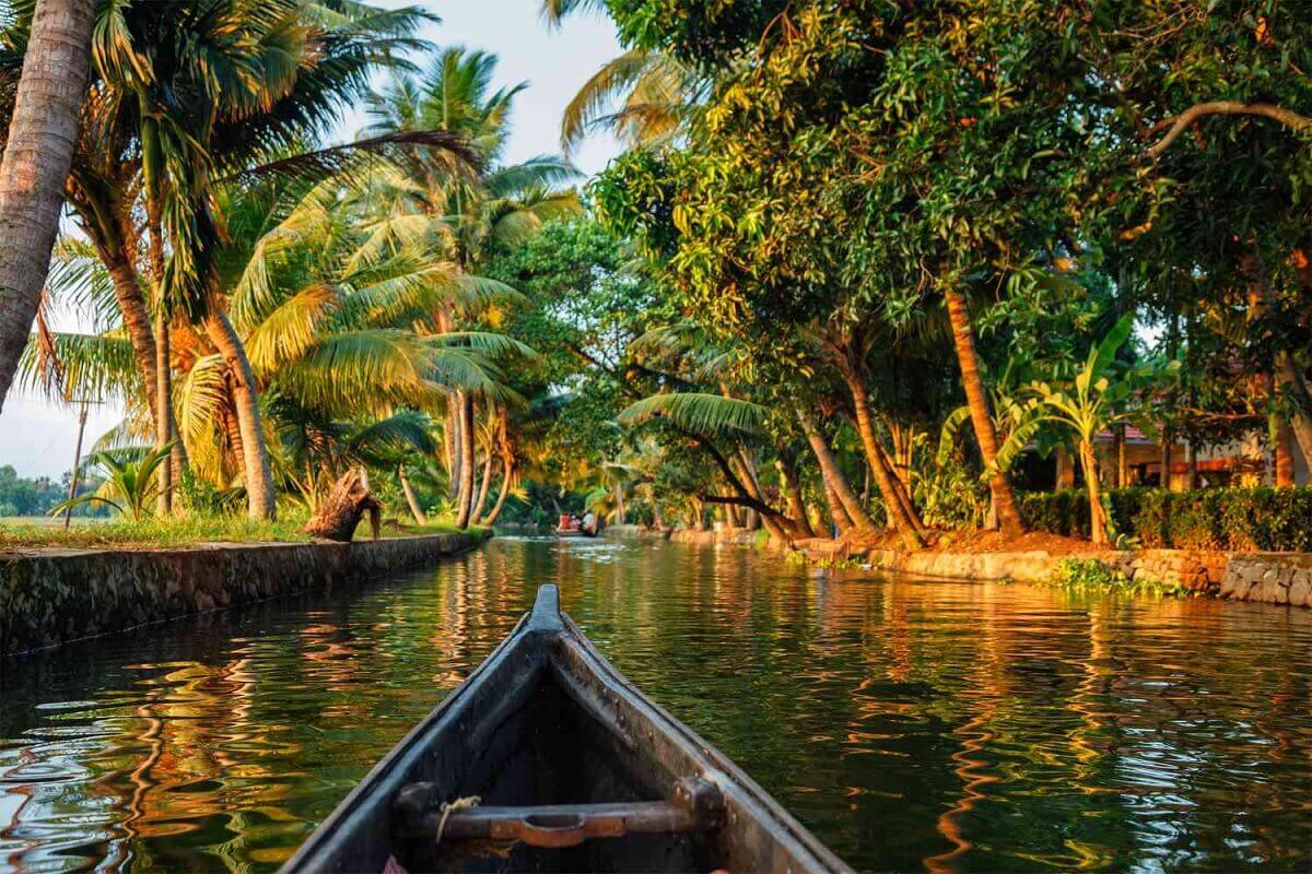 Why January is the Best Time to Visit Kerala