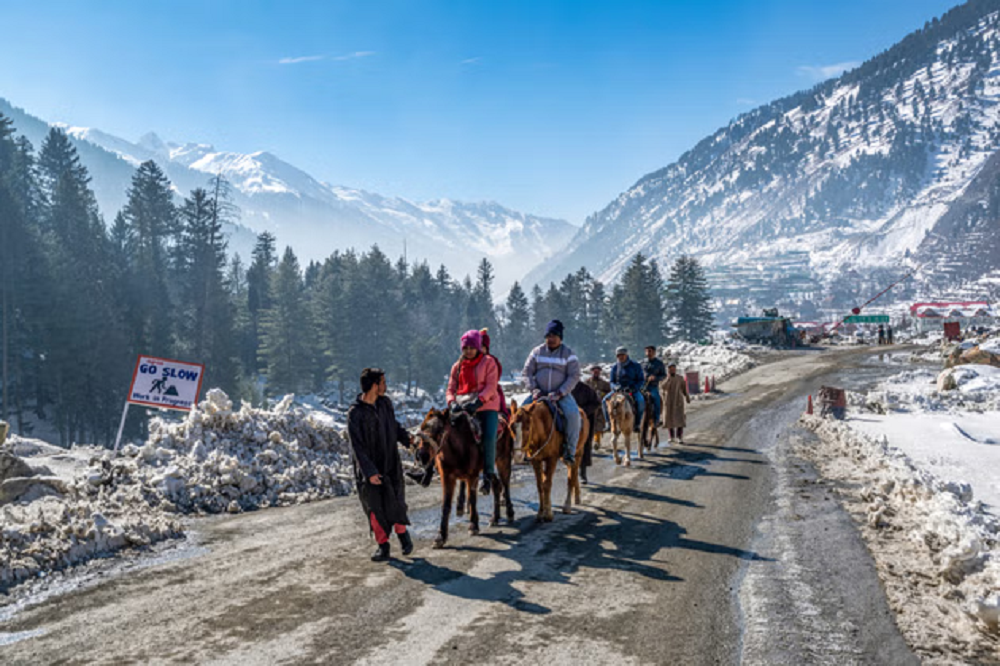 Exciting Activities to Try in Sonmarg in January