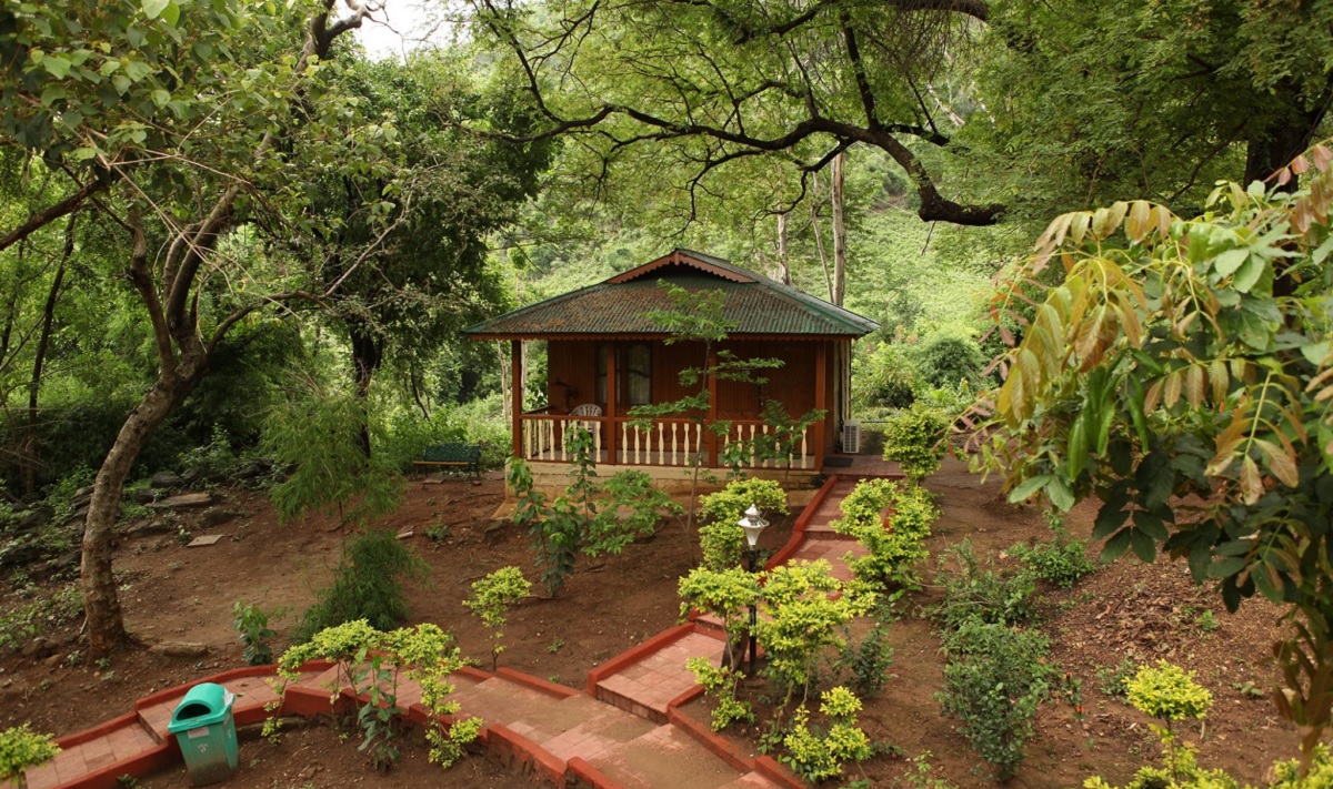 Araku Valley, Andhra Pradesh – Coffee, Caves & Cool Air