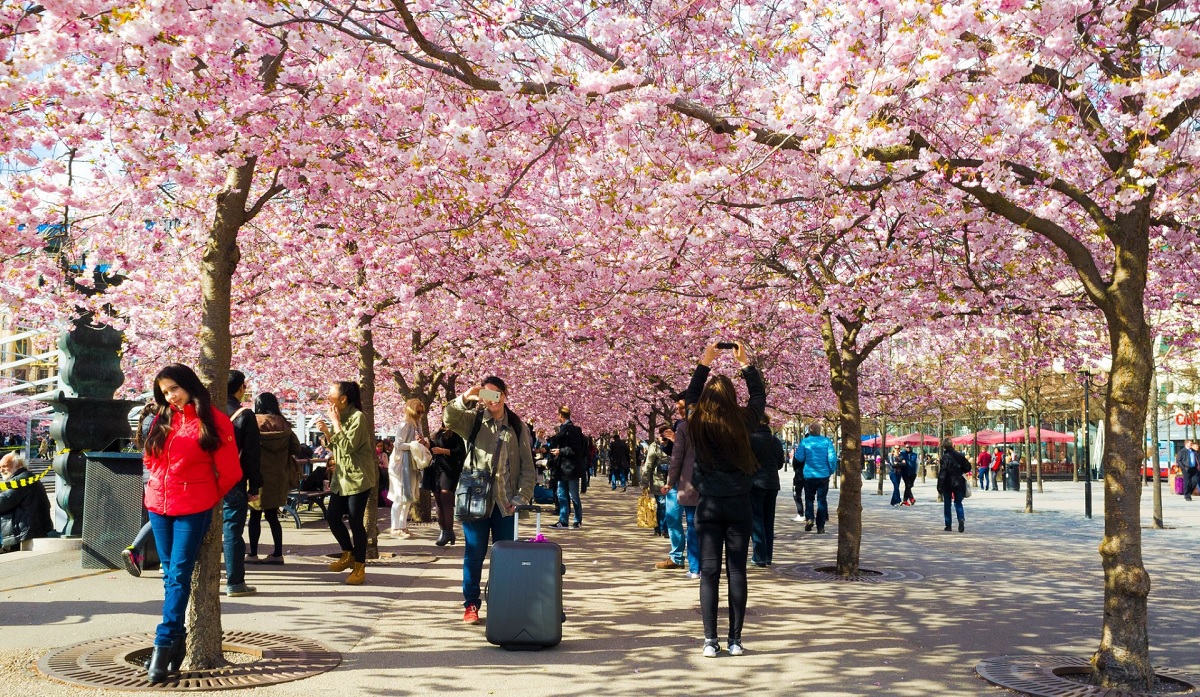 Stockholm, Sweden – Northern Charm