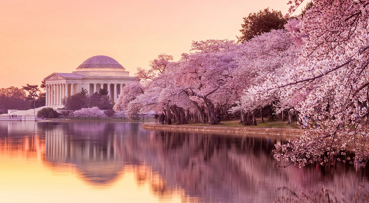 Washington D.C., USA