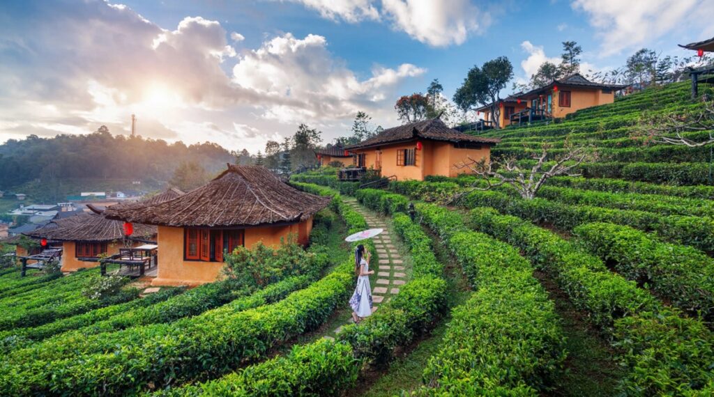 Guide to Traveling from Guwahati to Shillong