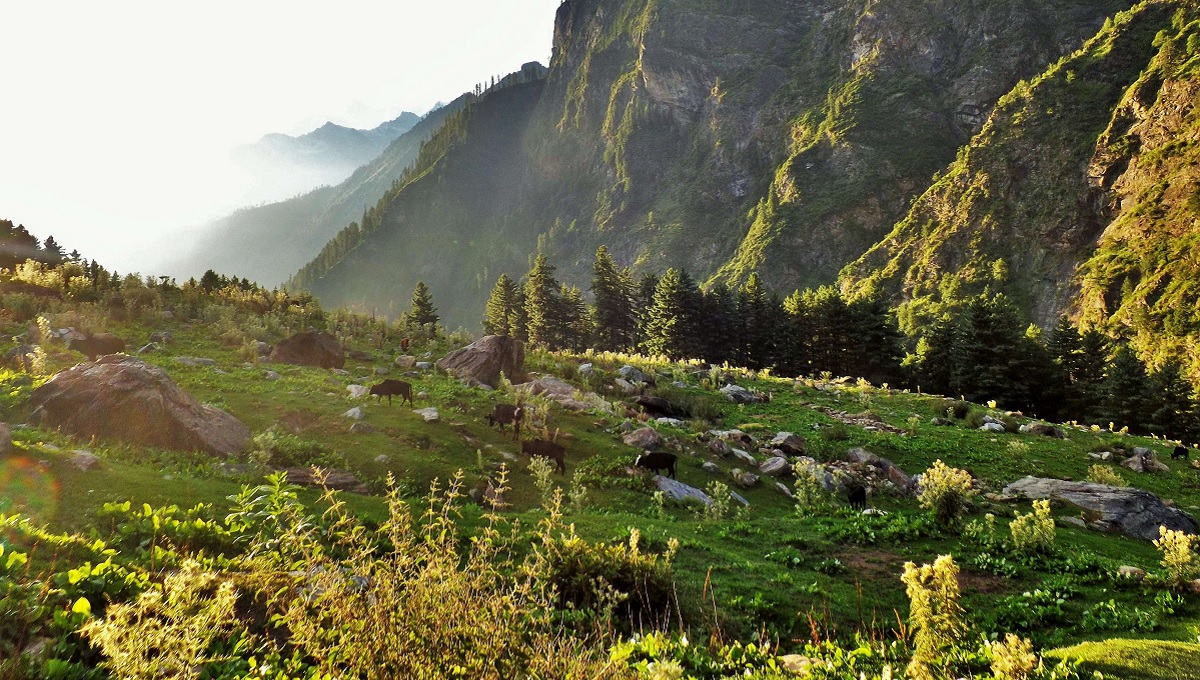 Kheerganga Trek