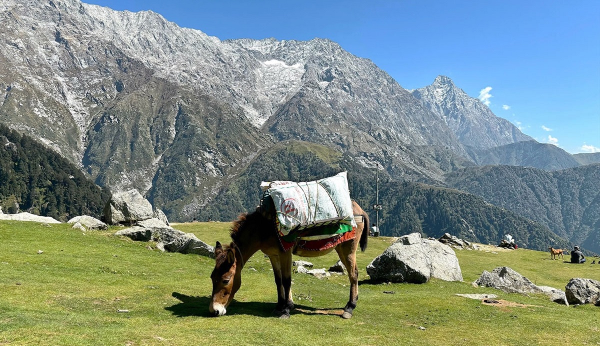 Triund Trek – A Must-Do Adventure