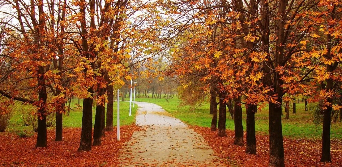 Crisp Autumn Skies and Festivals