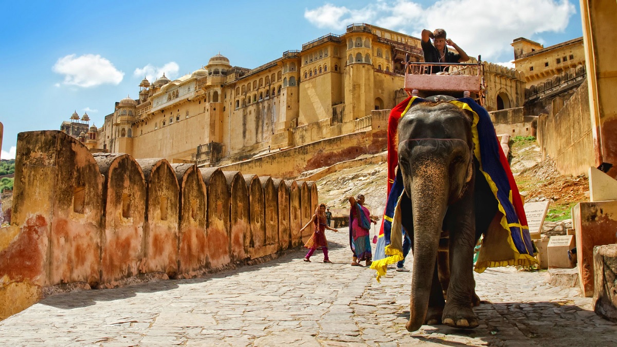 Explore the Magical Amber Fort