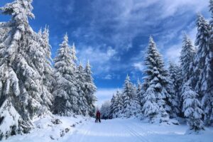 Why Visit Kashmir in November–December? – Winter Weather, Snow Destinations & Travel Guide 2025