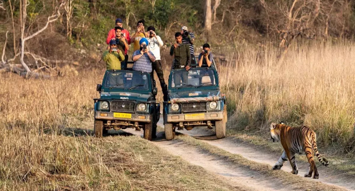 Travel Tips for Periyar National Park
