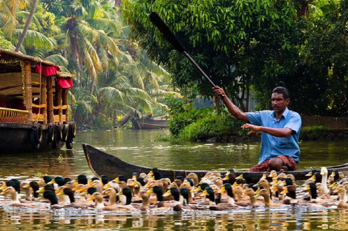  Sample 7-Day Monsoon Itinerary for Kerala in June 2025