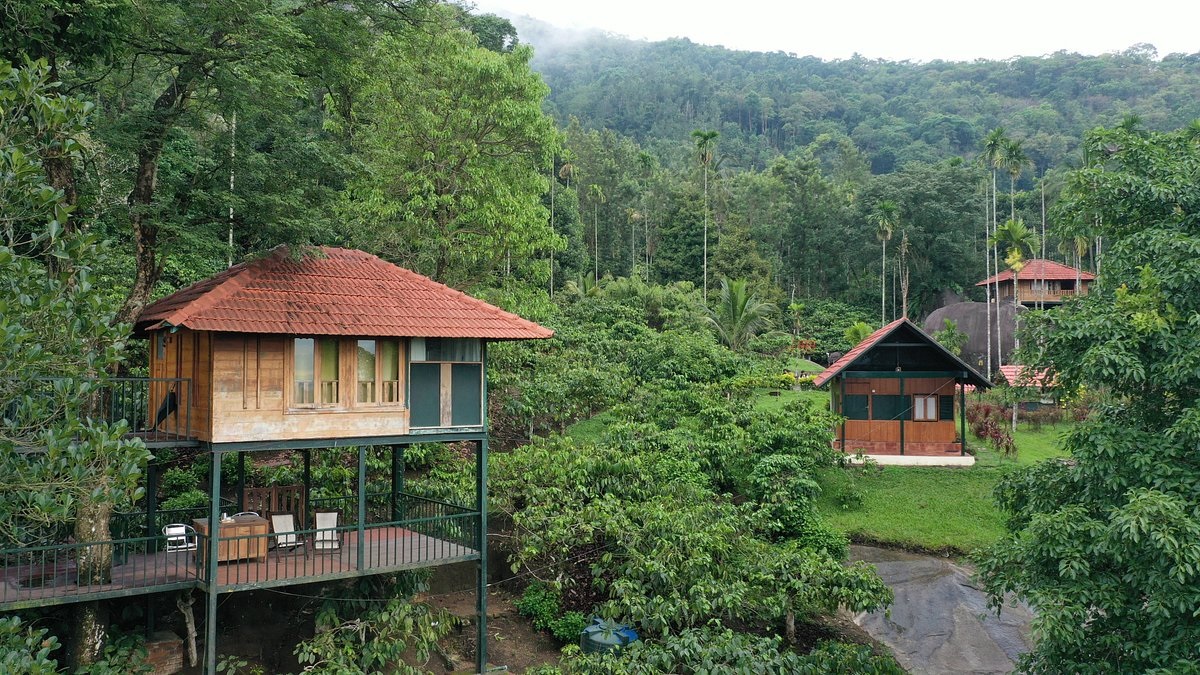 Ayurveda Yoga Villa, Wayanad