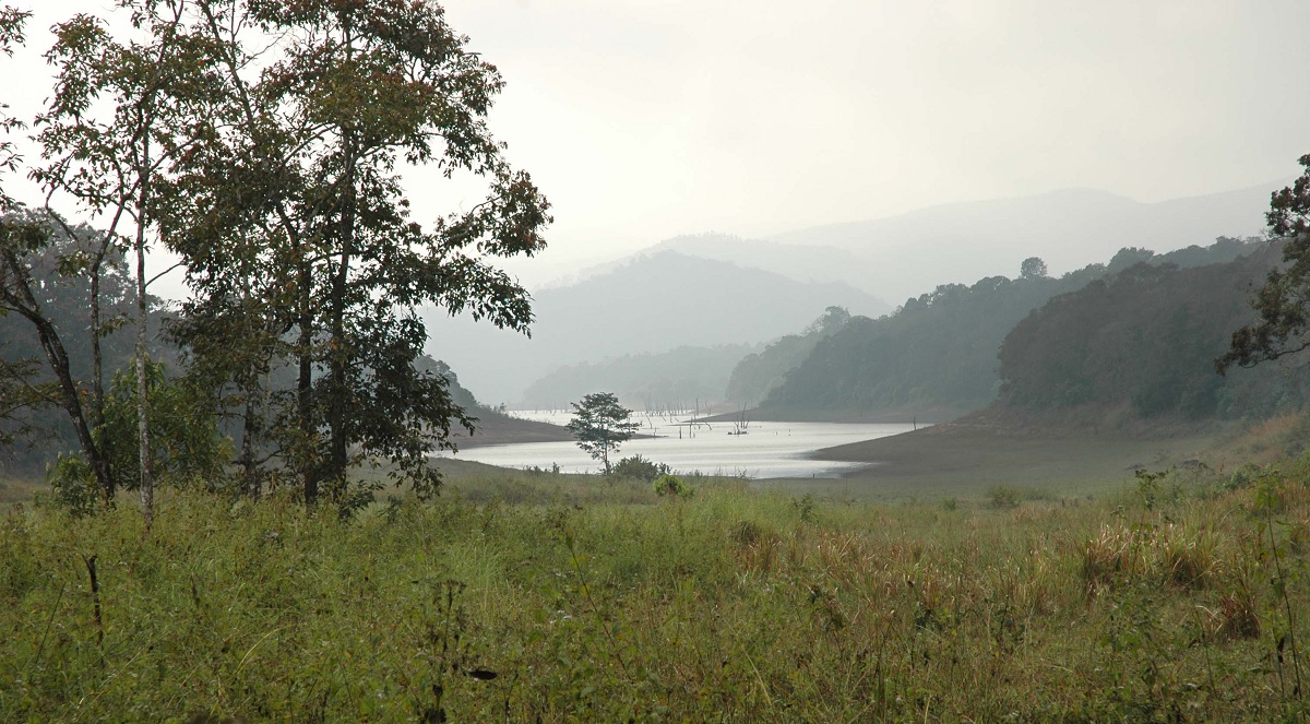 Best Time to Visit Periyar National Park