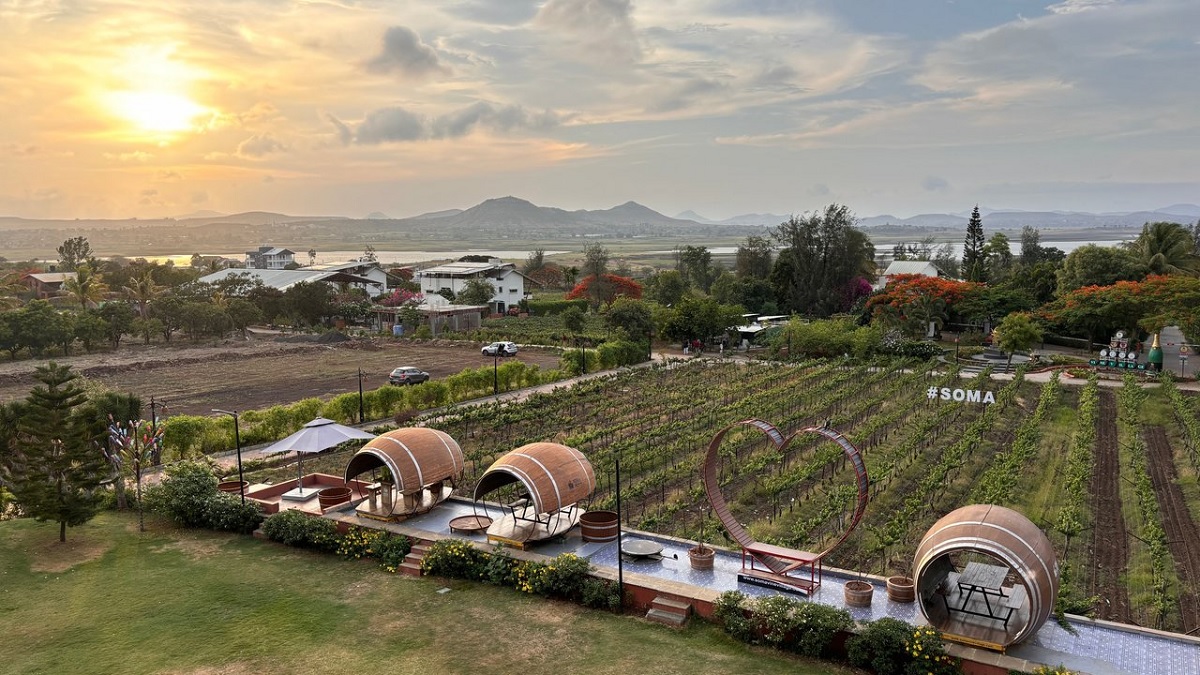 Soma Vineyards: A Serene Alternative for Wine Enthusiasts
